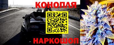дмт Будённовск