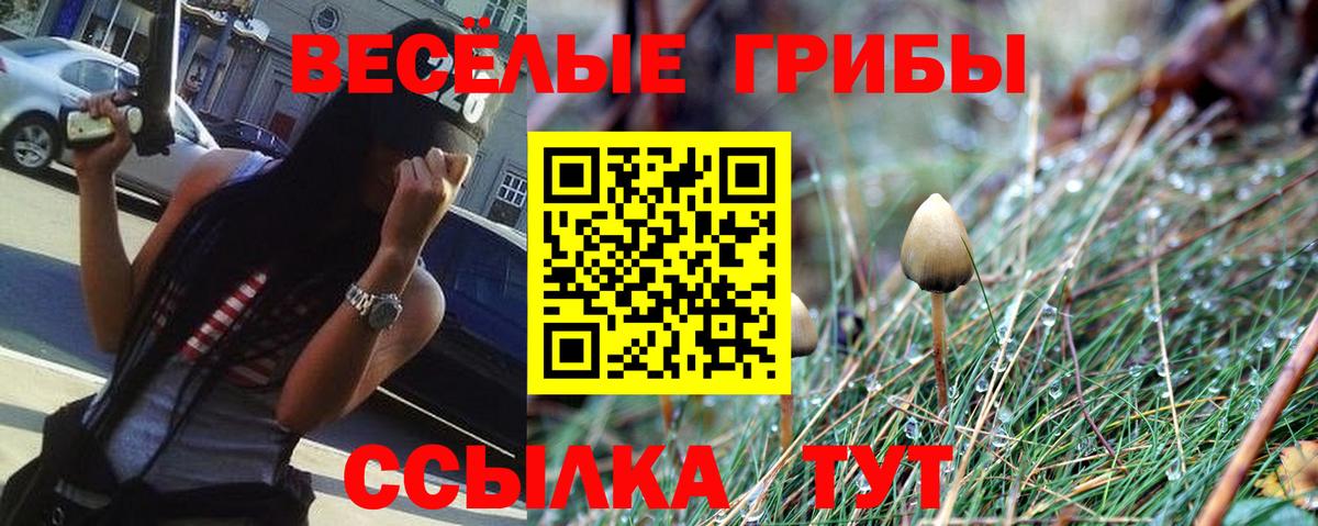 Светлоград  Галлюциногенные грибы Magic Shrooms  Галлюциногенные грибы мухоморы  Вход с VPN 